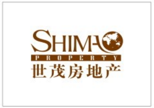 战略合作伙伴