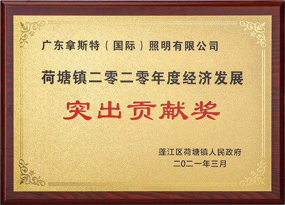 突出贡献奖