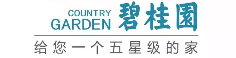 碧桂园集团